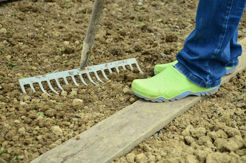 Garden rake levelling freshly turned soil in spring